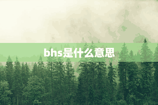 bhs是什么意思(bhs是什么意思网络用语)